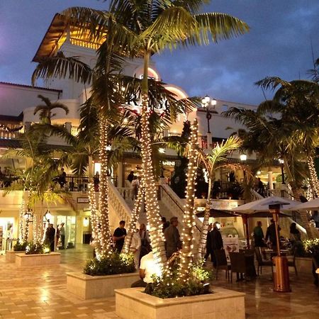 Coconut Grove Green Day'S Apartment Miami Ngoại thất bức ảnh