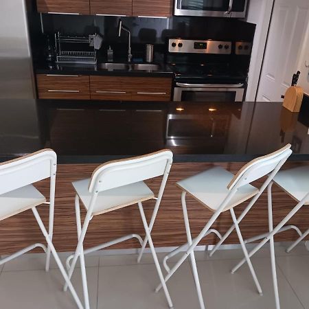 Coconut Grove Green Day'S Apartment Miami Ngoại thất bức ảnh