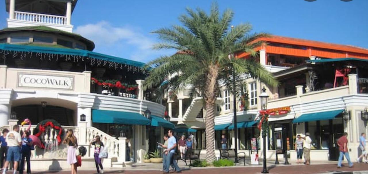 Coconut Grove Green Day'S Apartment Miami Ngoại thất bức ảnh
